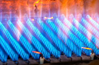 Cupernham gas fired boilers